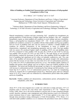 Puddle Soil Characteristics
