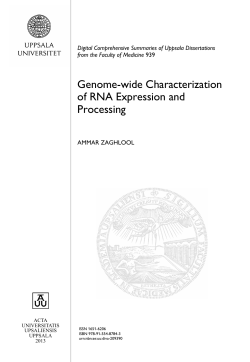 Genome-wide Characterization of RNA Expression and Processing
