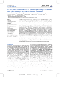 Figure 1 - Semantic Scholar
