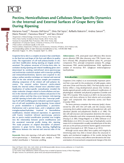 Pectins, Hemicelluloses and Celluloses Show