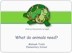 Animal Needs Game
