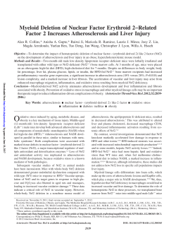 Myeloid Deletion of Nuclear Factor Erythroid 2&minus;Related Factor 2