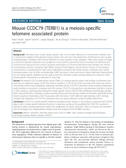 Mouse CCDC79 (TERB1) is a meiosis-specific telomere associated