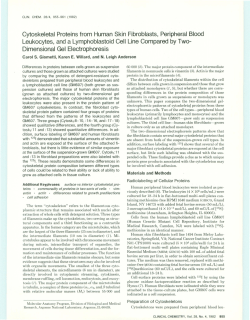 Cytoskeletal proteins from human skin fibroblasts, peripheral blood
