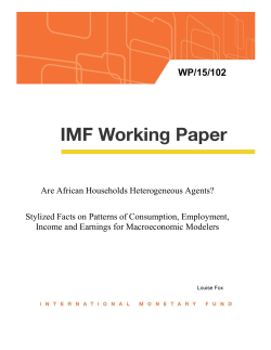 Are African Households Heterogeneous Agents? Stylized