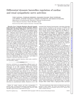 Differential dynamic baroreflex regulation of cardiac and renal