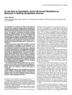 On the Role of Arachidonic Acid in M-Current