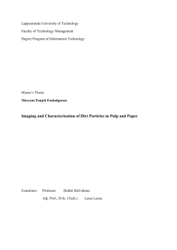 Imaging and Characterisation of Dirt Particles in Pulp and