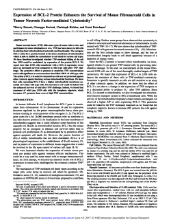 Expression of BCL-2 Protein Enhances the