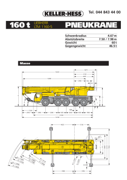 PNEUKRANE 160 t