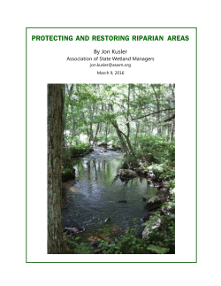 Protecting and Restoring Riparian Areas