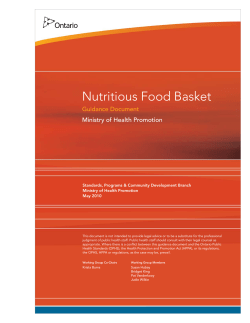 Nutritious Food Basket Guidance Document, 2010