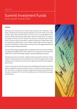 Investment Report January 2015
