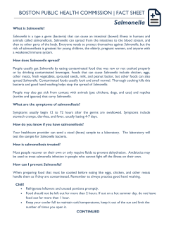 Salmonella - Boston Public Health Commission