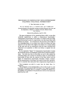 THE DEGREE OF COMPENSATORY RENAL HYPERTROPHY