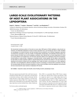 large-scale evolutionary patterns of host plant associations in the