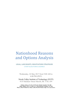 Nationhood Reasons and Options Analysis