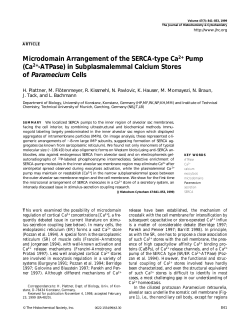 Microdomain Arrangement of the SERCA-type Ca2+ Pump (Ca2+