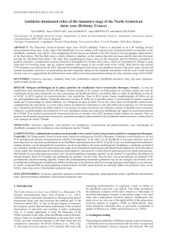 Antithetic-dominated relics of the immature stage of the North