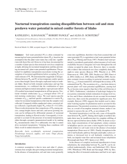 Nocturnal transpiration causing disequilibrium between soil and