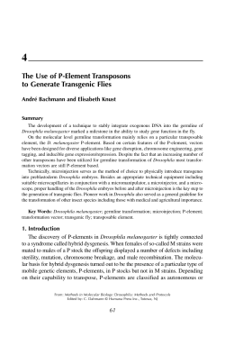 The Use of P-Element Transposons to Generate Transgenic Flies