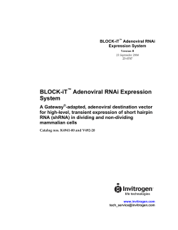 BLOCK-iT™ Adenoviral RNAi Expression System