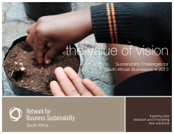 South African Challenges Report - Network for Business Sustainability