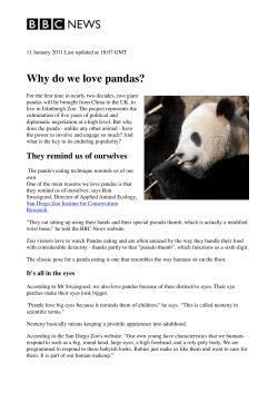 Why do we love pandas? - Global Dialogue Foundation