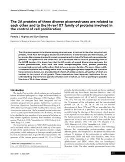 The 2A proteins of three diverse picornaviruses are related to each