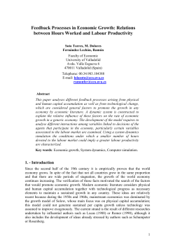 Feedback Processes in Economic Growth: Relations between Hours