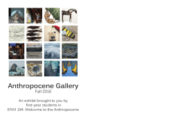 exhibit - Macalester College