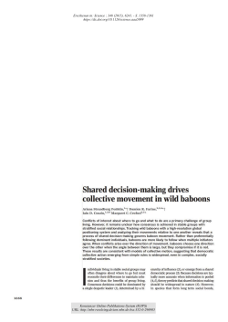 Shared decision-making drives collective