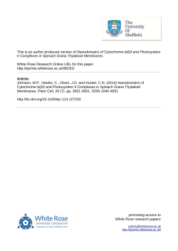 - White Rose Research Online