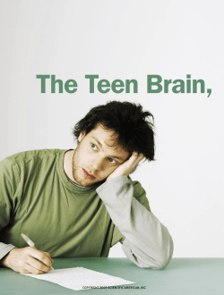 The Teen Brain, Hard at Work