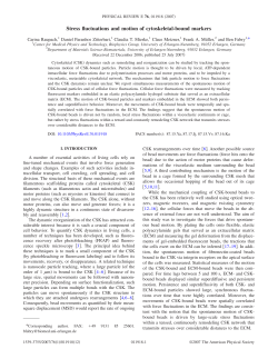 Stress fluctuations and motion of cytoskeletal