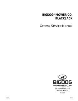 BIGDOG&reg; MOWER CO. BLACKJACK General