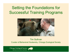 Setting the Foundations for Successful Training