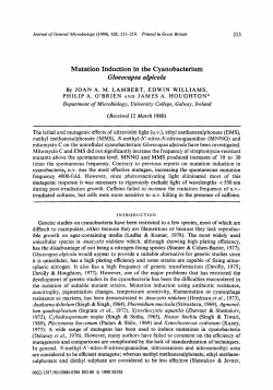 Mutation Induction in the Cyanobacterium