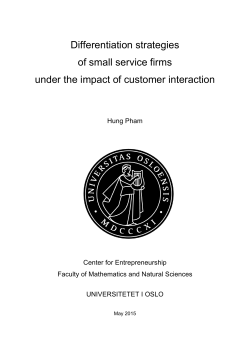 Differentiation strategies of small service firms under the impact of