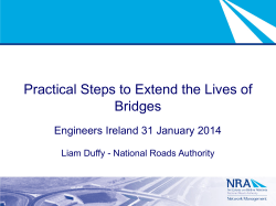 Liam Duffy PDF - Engineers Ireland