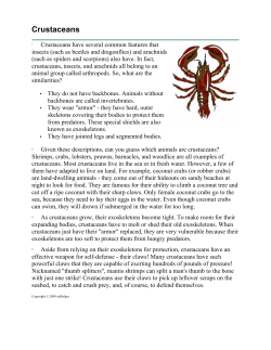 Crustaceans