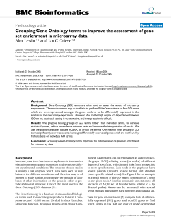Grouping Gene Ontology terms to improve the assessment of gene