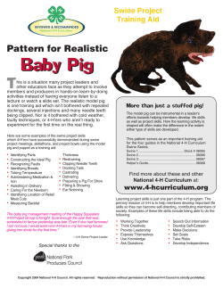 Cloth pig pattern - Missouri 4-H