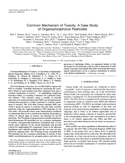 Common Mechanism of Toxicity