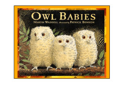 Owl babies - Lainesmead Primary School`s