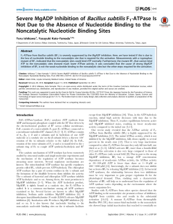 Severe MgADP Inhibition of Bacillus subtilis F1-ATPase Is Not