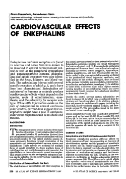 CARDIOVASCULAR EFFECTS OF ENKEPHALINS