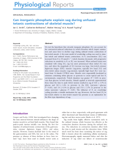 Can inorganic phosphate explain sag during unfused tetanic