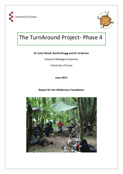 The TurnAround Project- Phase 4