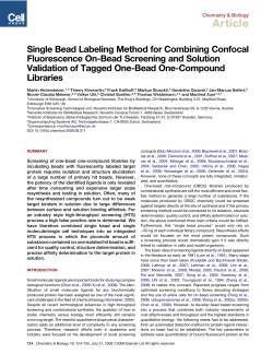 Single Bead Labeling Method for Combining Confocal Fluorescence